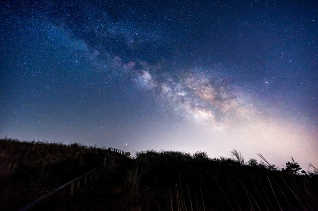 （写真提供：PIXTA）