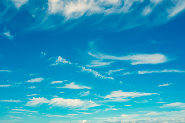 (写真提供:PIXTA)