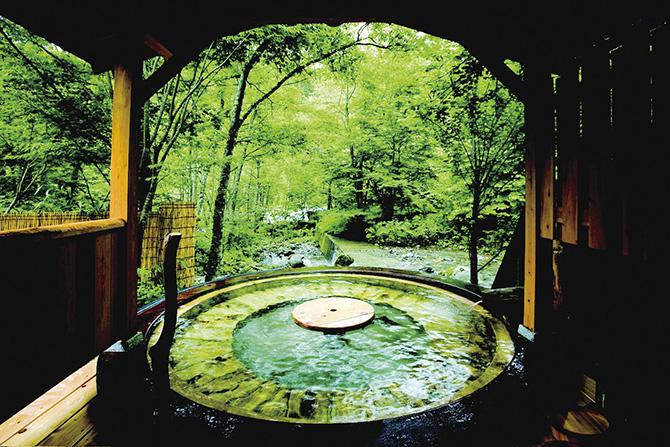 山里のいおり 草円