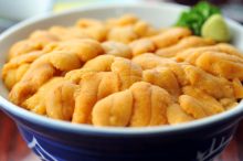 【2026】北海道・積丹のウニ丼が美味しいおすすめ店4選！旬の時期だけ味わえる贅沢…