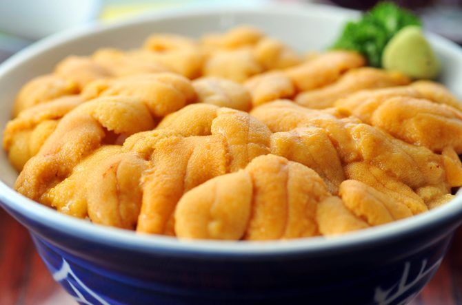 【2026】北海道・積丹のウニ丼が美味しいおすすめ店4選!旬の時期だけ味わえる贅沢な一杯