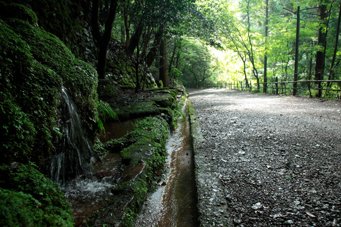 九十九折参道