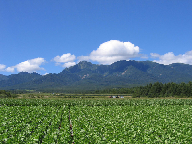 野辺山高原