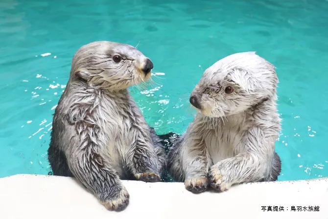 鳥羽水族館