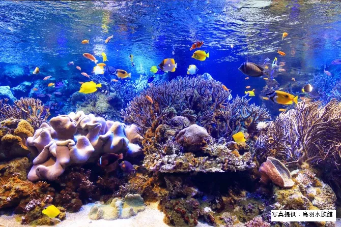鳥羽水族館