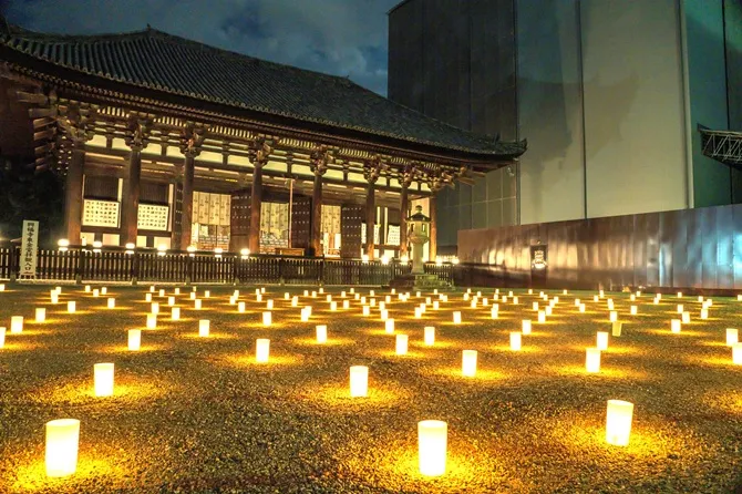 2026年「なら燈花会」の楽しみ方！幻想的な見どころやおすすめの回り方