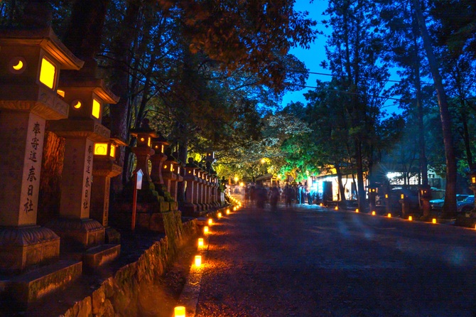 なら燈花会