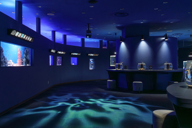 シン・マリホ水族館