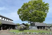 『じゃらん』全国道の駅グランプリ2026発表！2年連続で群馬県「道の駅 川場田園プ…