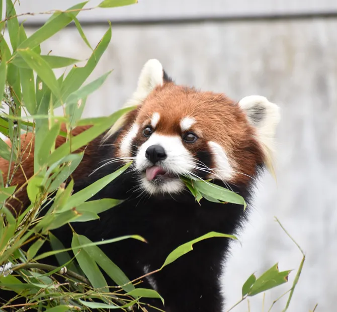 名古屋市東山動植物園