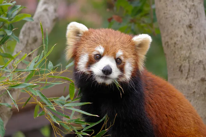 豊橋総合動植物公園（のんほいパーク）