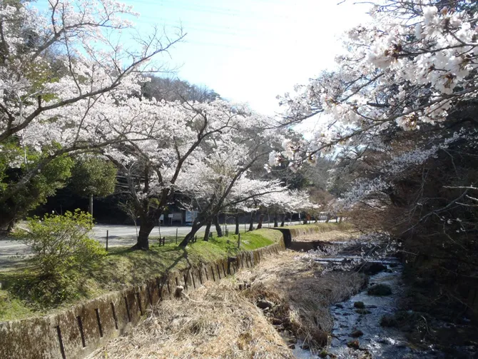 愛知高原国定公園・岩屋堂公園