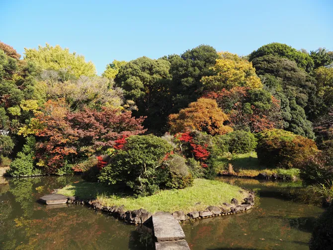 小石川植物園