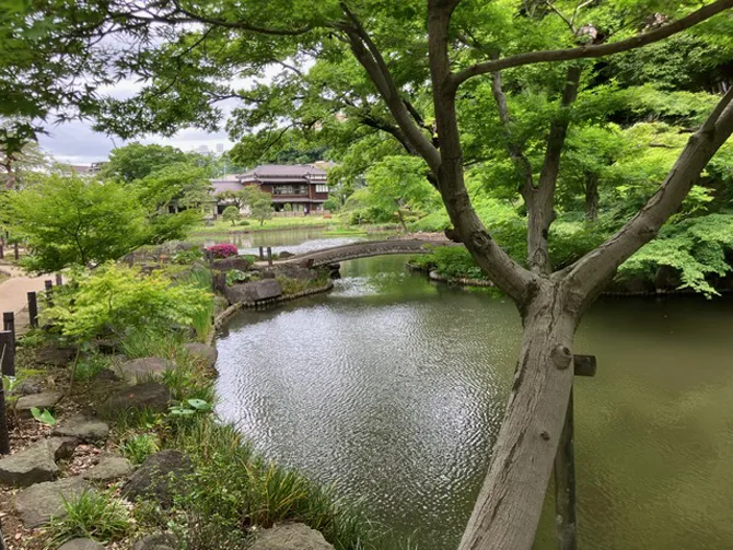 文京区立肥後細川庭園