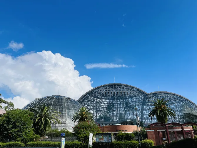 東京都夢の島熱帯植物館