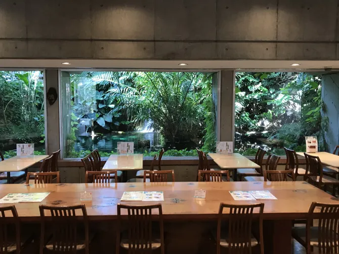 東京都夢の島熱帯植物館
