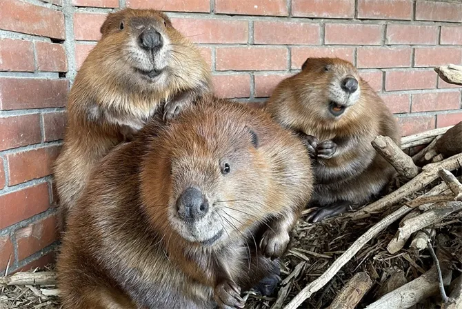 ヒノトントンZOO（羽村市動物公園）