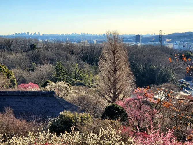 京王百草園