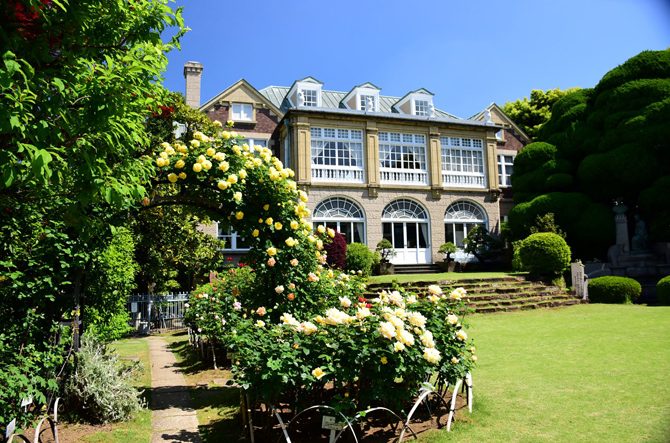 【2026】東京の穴場観光スポット16選！都会の喧騒を忘れる公園や写真映えする建築物など