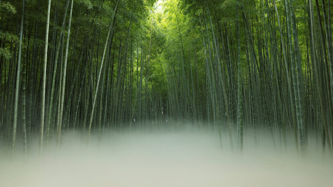 若竹の杜 若山農場