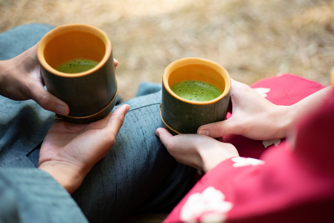 若竹の杜 若山農場