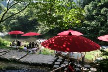 【加賀の國】夏涼み・夜あそび・地産美食で極上の避暑体験～大人の加賀めぐり～