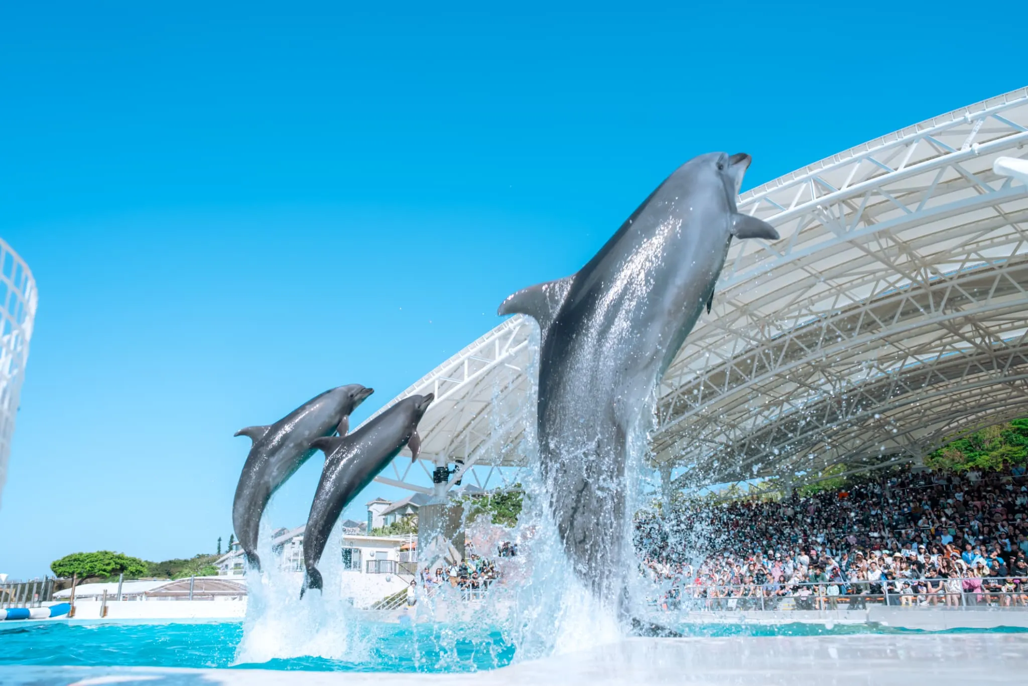 沖縄美ら海水族館