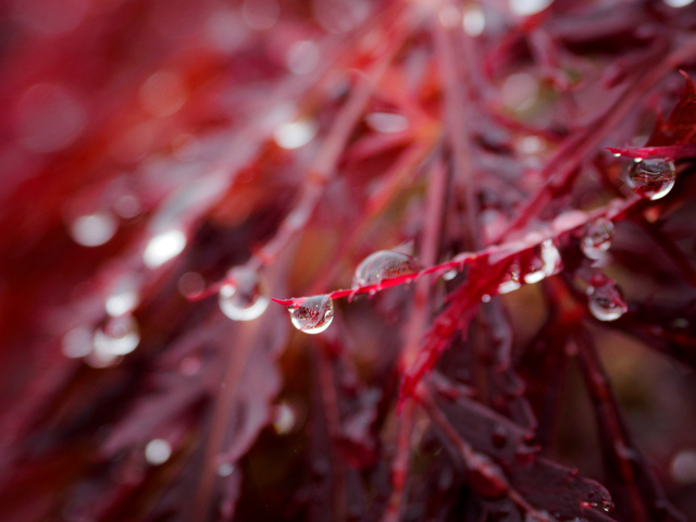 (写真提供:写真AC)