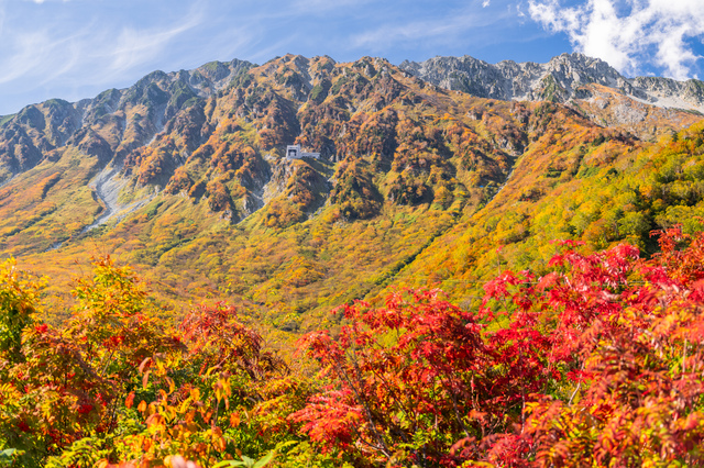 秋のことば・季語15選！秋の天気や風景、植物を表す言葉と意味を解説