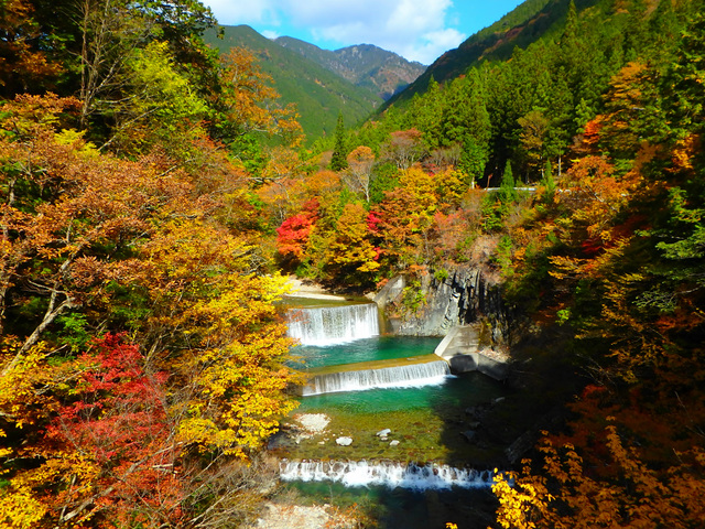 (写真提供:PIXTA)
