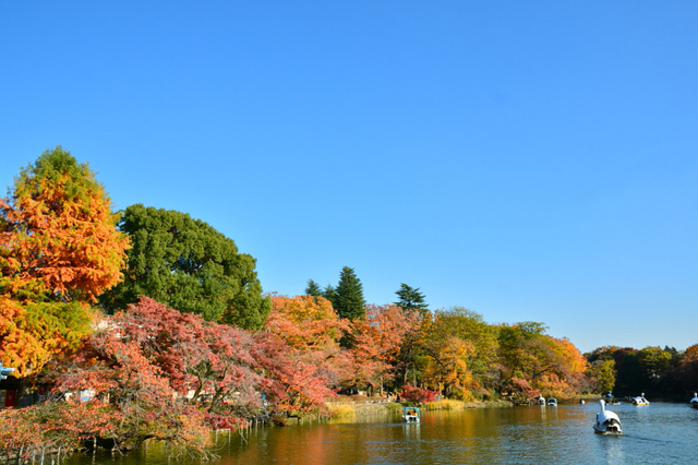 (写真提供:PIXTA)
