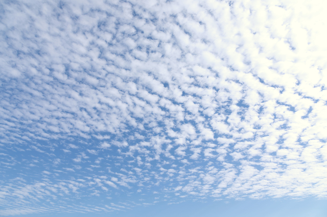 (写真提供:PIXTA)