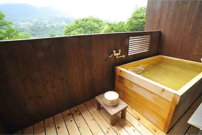 源泉かけ流しの宿　櫻休庵