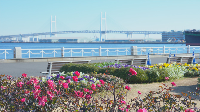 山下公園