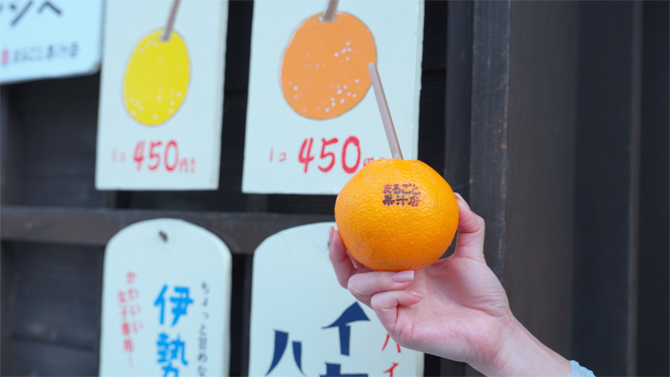 まるごと果汁店