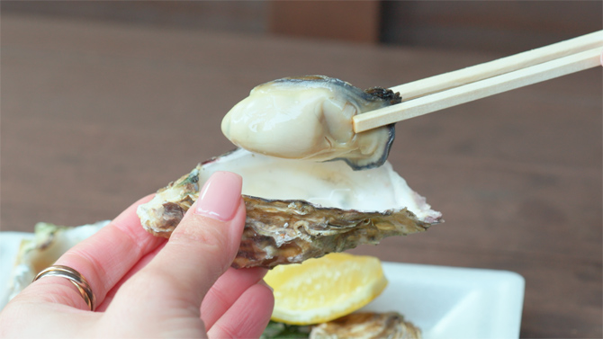 横丁いかだ荘