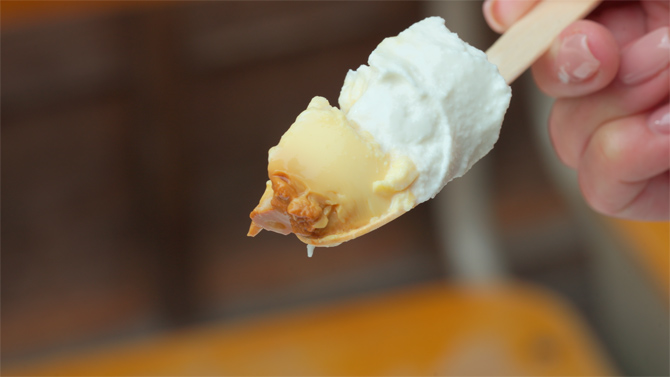 山村みるくがっこう 内宮前店