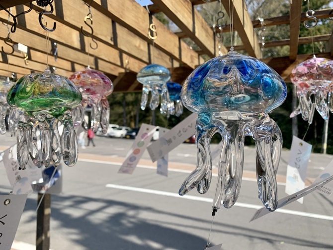 TAKU GLASS