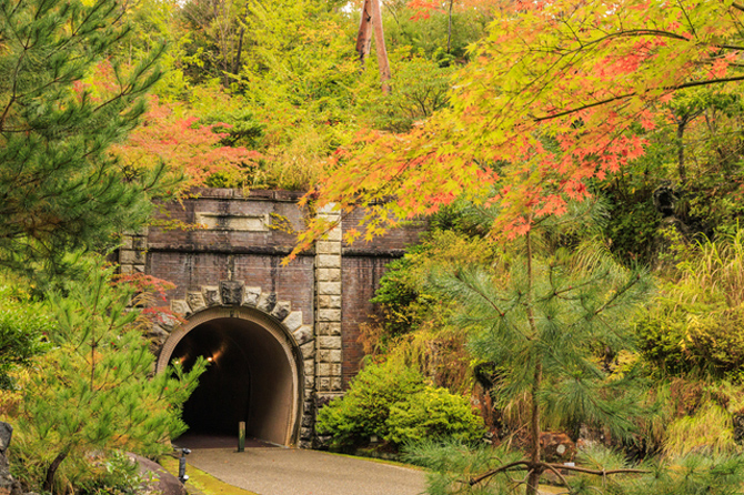 弥彦公園