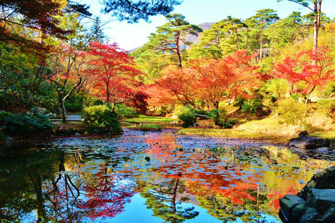 弥彦公園