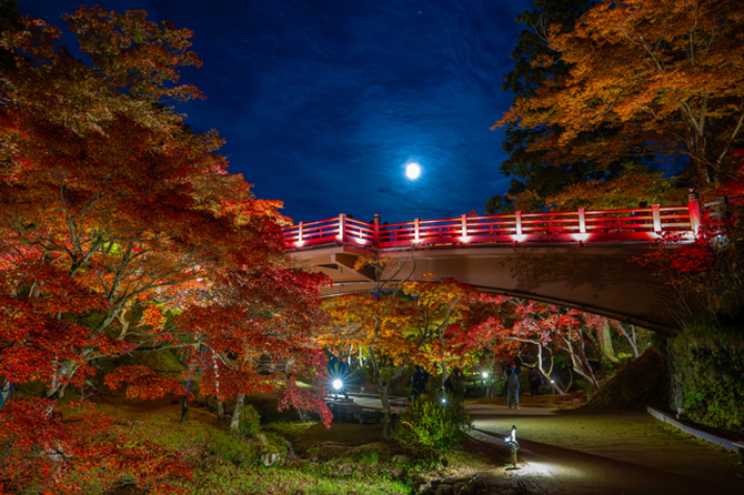 弥彦公園