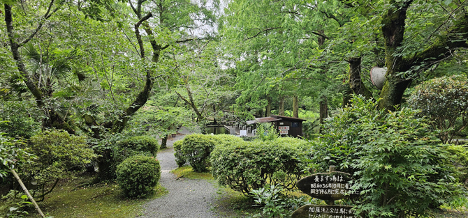 くまもと水の迎賓館 お手水の森
