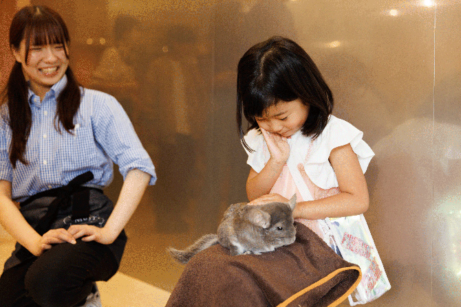 Moff animal cafe マークイズ福岡ももち店