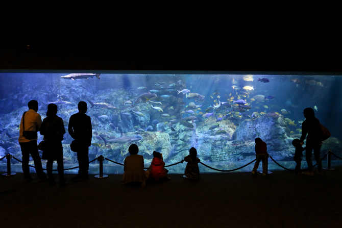 大分マリーンパレス水族館「うみたまご」
