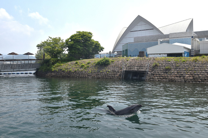 いおワールドかごしま水族館