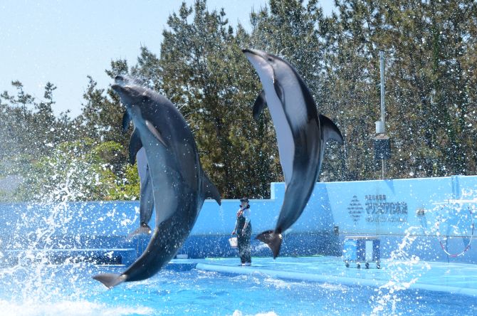 新潟市水族館 マリンピア日本海