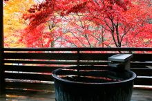 秋は、自然と歴史に触れる大人旅へ！岐阜・飛騨路の魅力に浸るおすすめ宿★11選