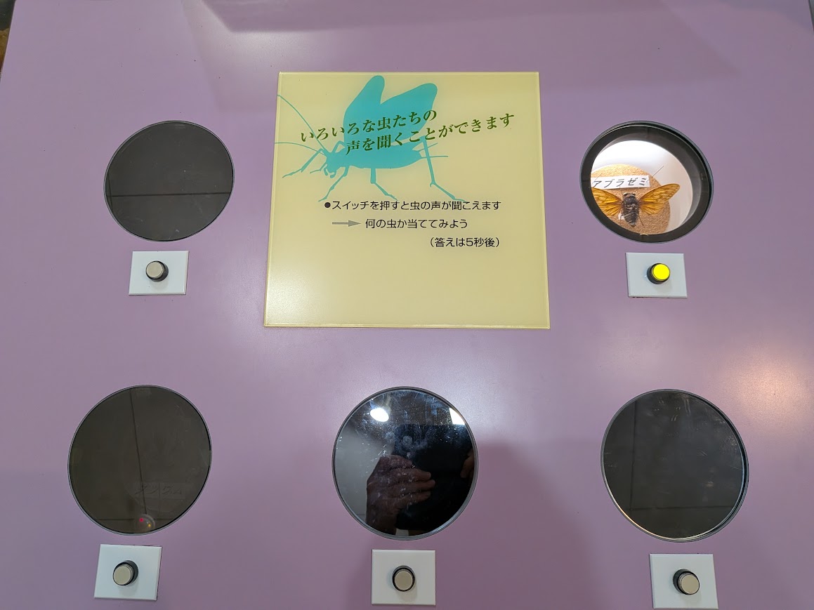 大田原市ふれあいの丘 自然観察館