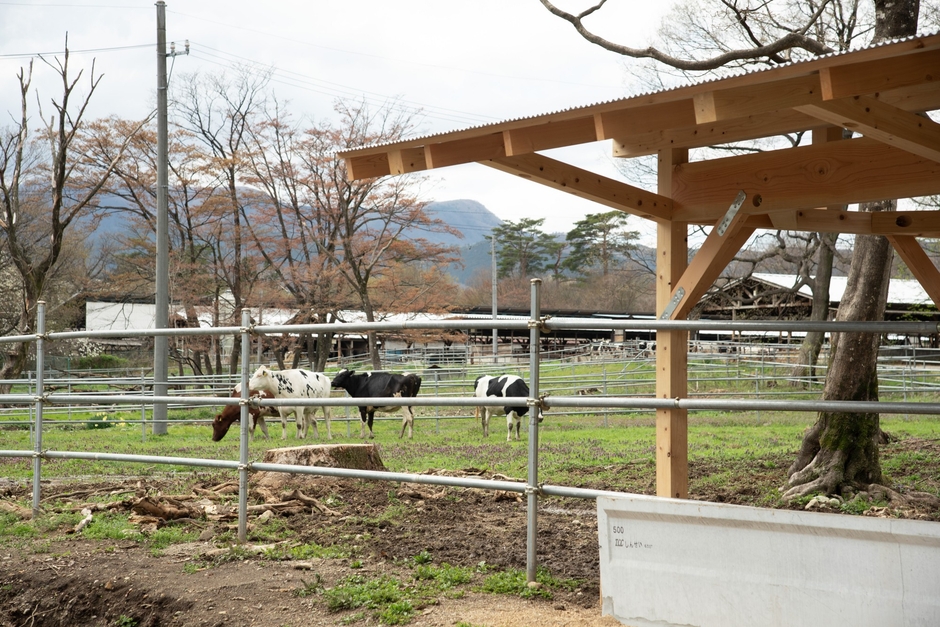 那須 千本松牧場