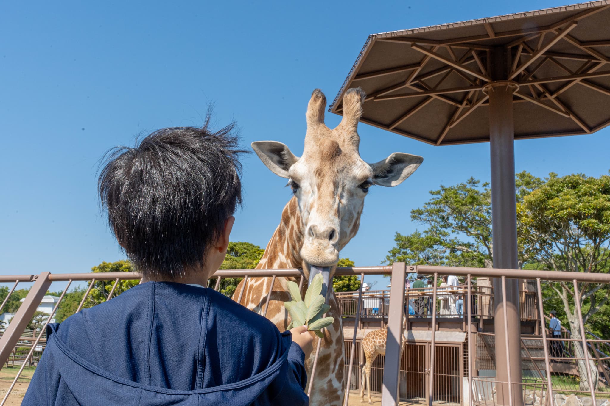 伊豆シャボテン動物公園